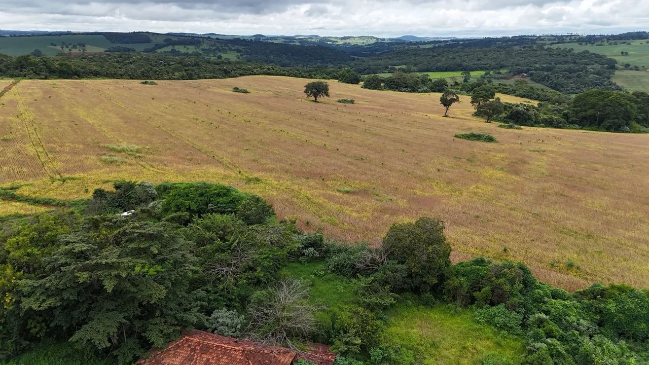 Fazenda de 70 Alqueires  - Foto 5