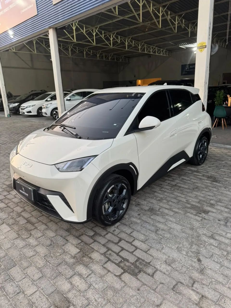 BYD Dolphin EV (Elétrico) 2027