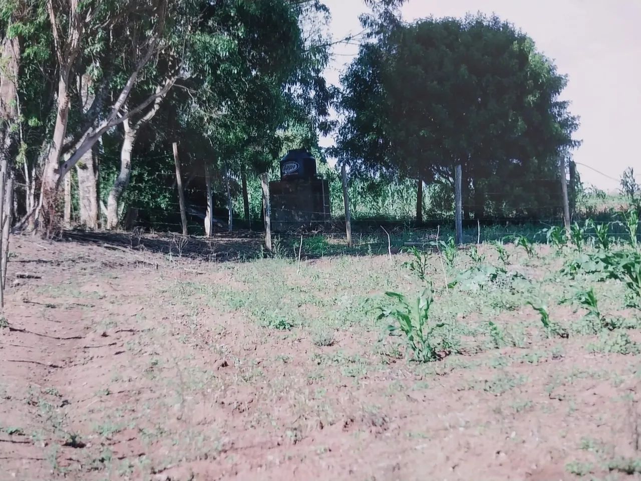 CHACARA RESIDENCIAL em PIEDADE - SP, Bairro Caetezal - Foto 2