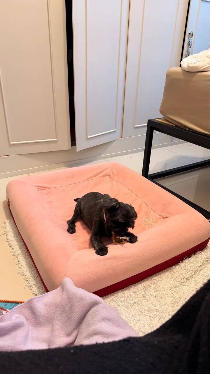 Cama para Cachorros Zee.Bed Najima - Tamanho G