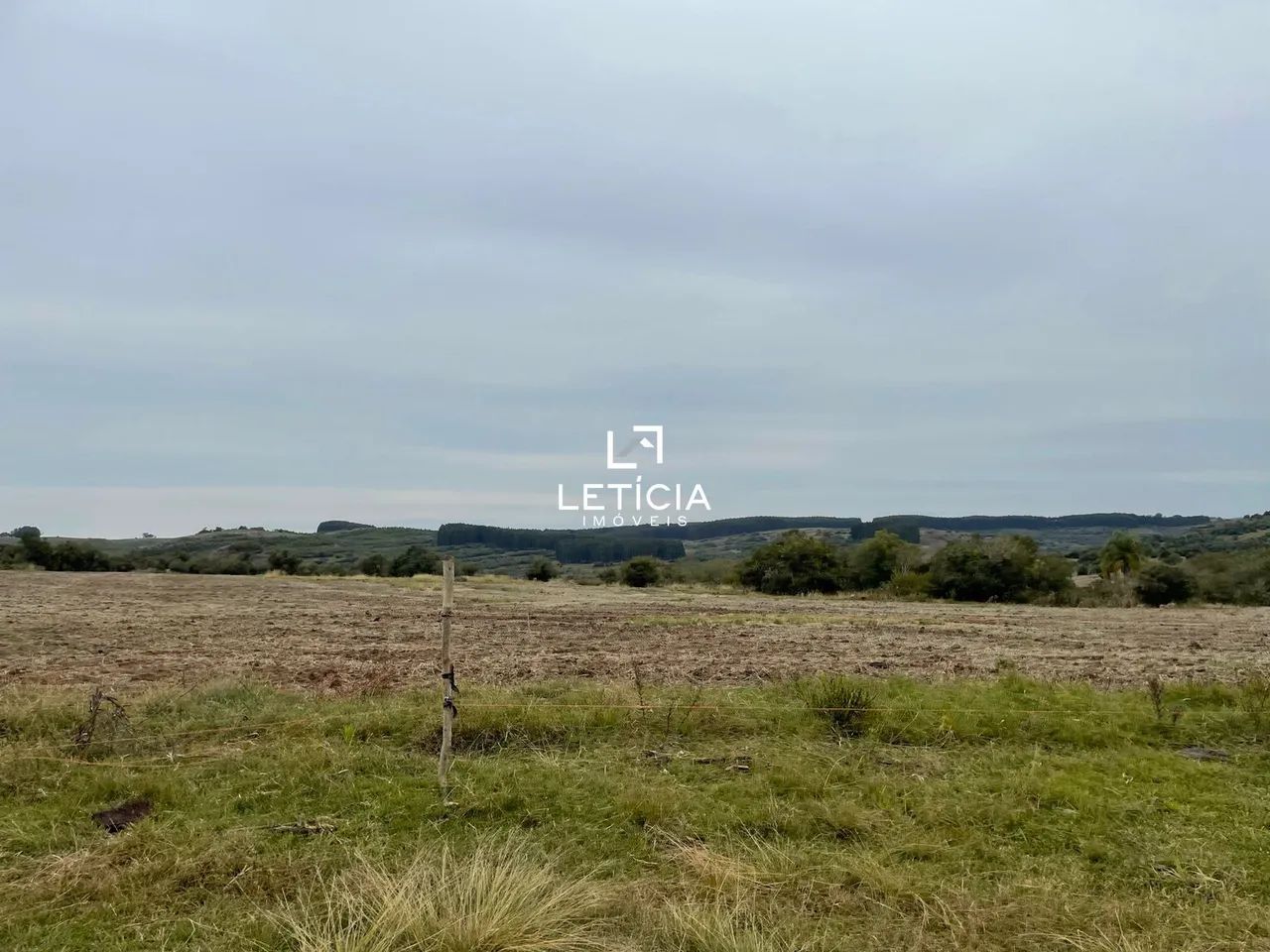 Campo de Pecuária!!!