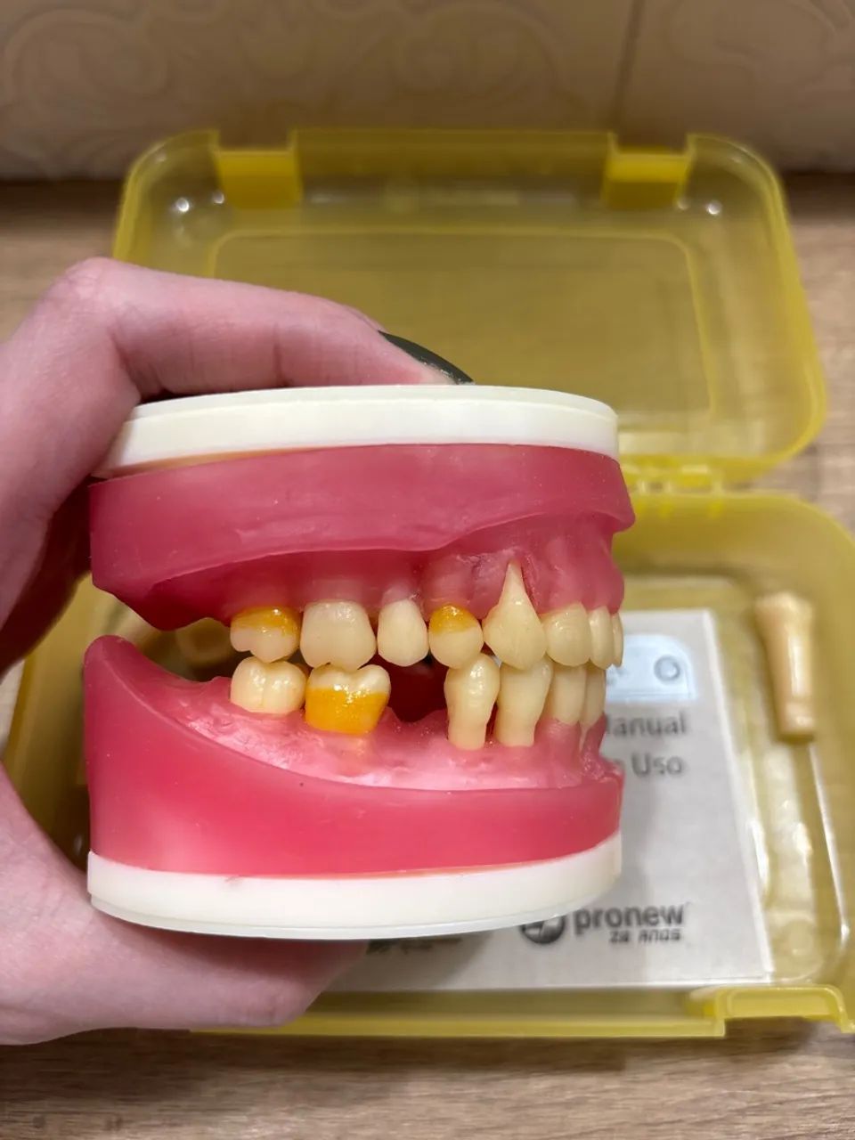 Manequim PRONEW periodontia (refil)  - Foto 3