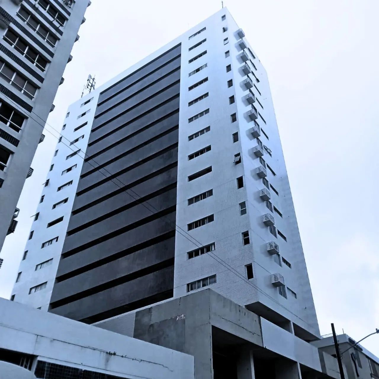 Ed. Cerejeira