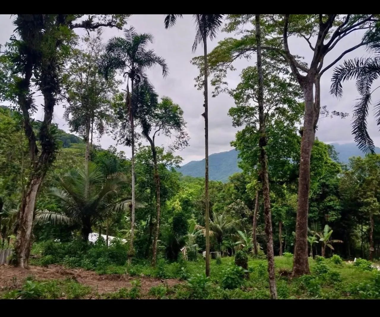 Terreno 450m² em Ubatuba  - Foto 2