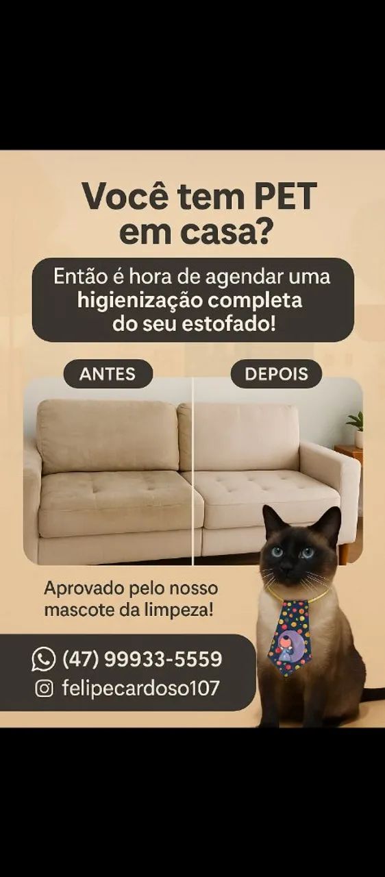 FC Felipe higienização de sofa e colchão  - Foto 4
