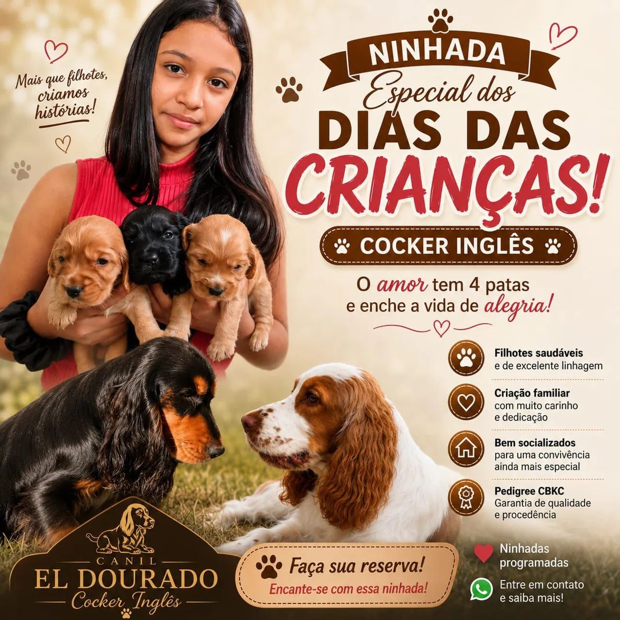 Cocker spaniel inglês 