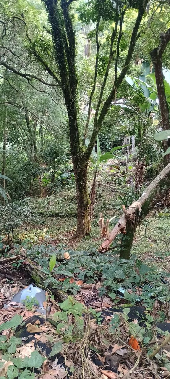 Foto - Itatiaia - 