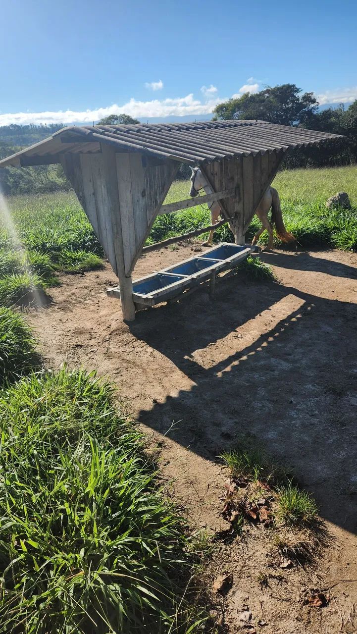 Terreno com pastagem formada Bonfim/MG - Foto 5