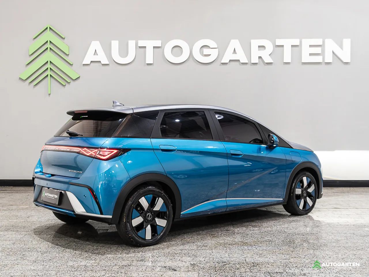 BYD Dolphin Plus (Elétrico) 2025 - Foto 3
