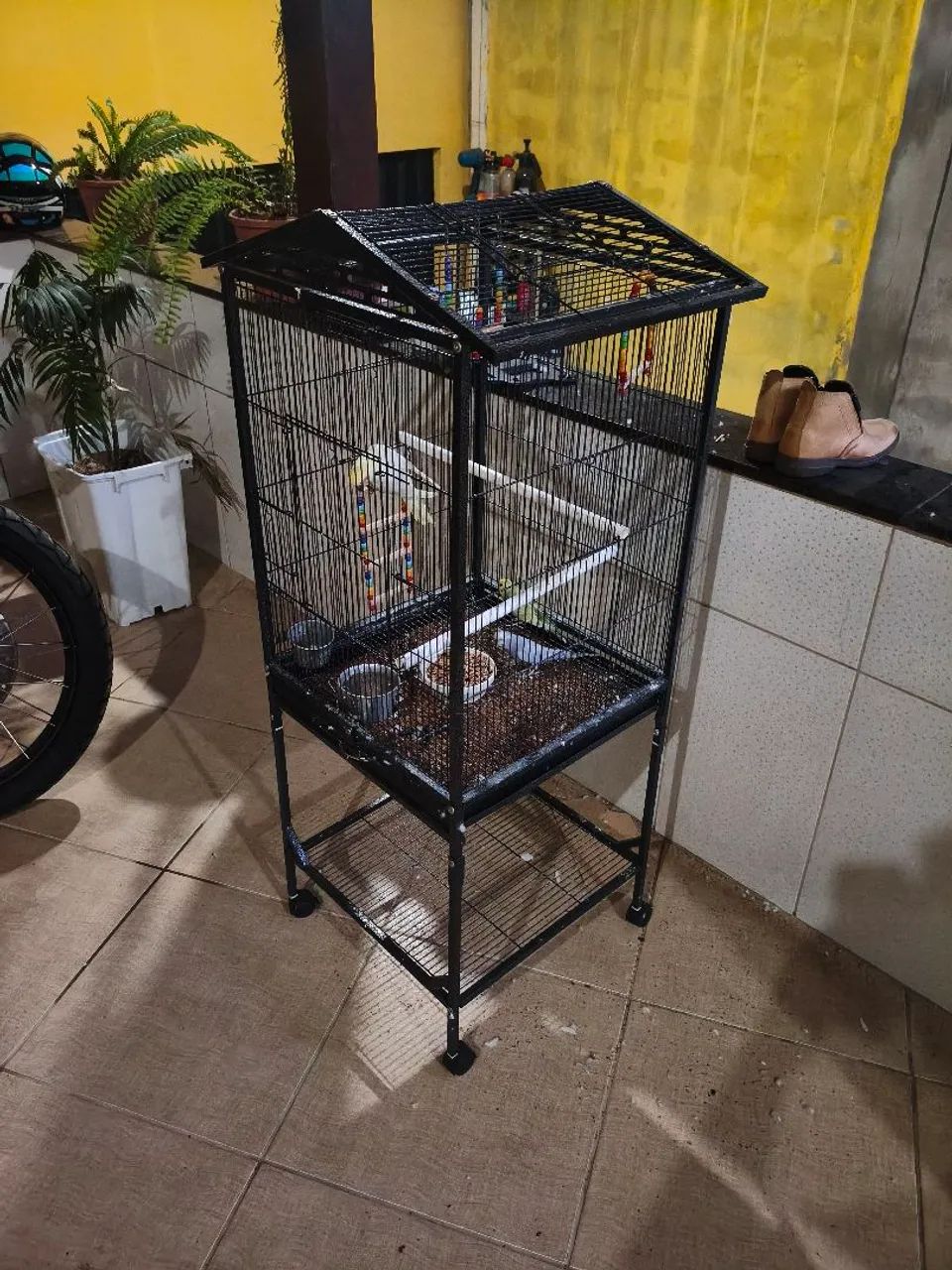 Gaiola  - Foto 2