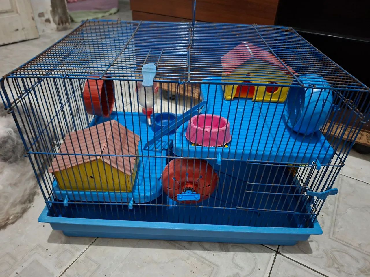 Rodent Cage64962126516227122