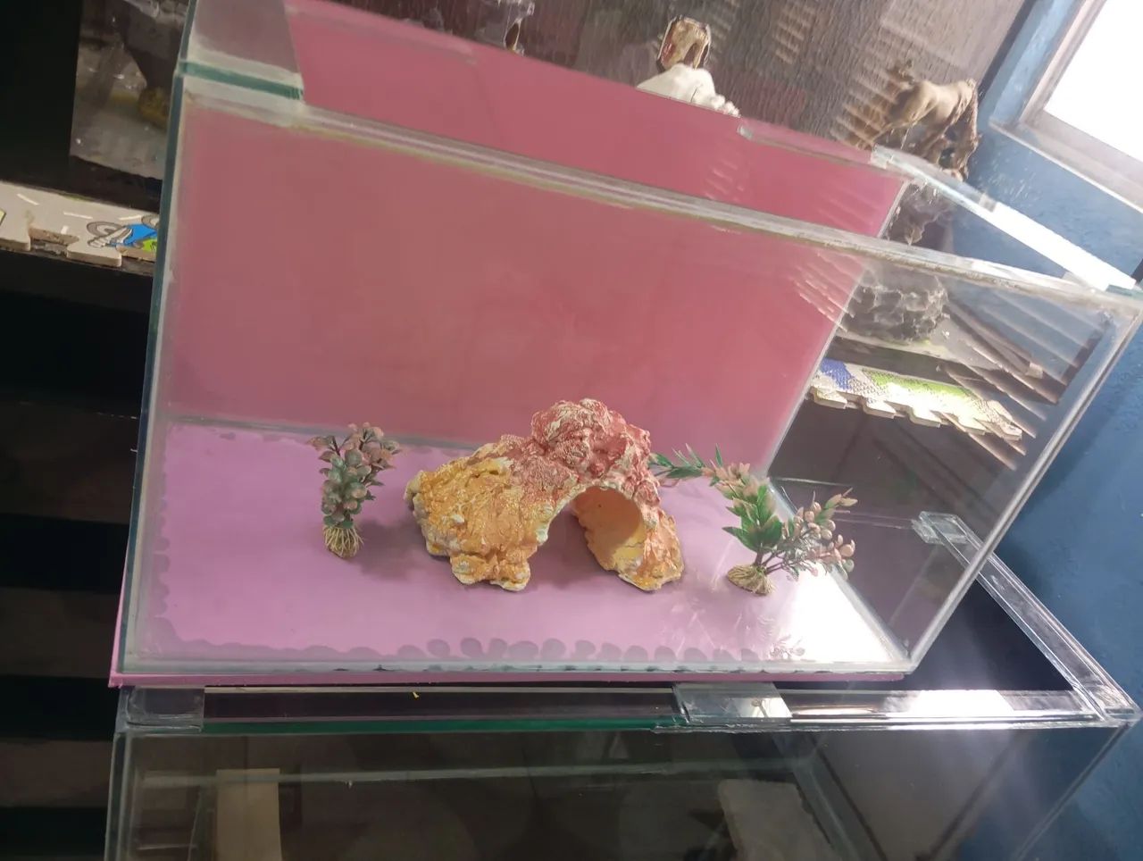 aquário 60 cm $160 
