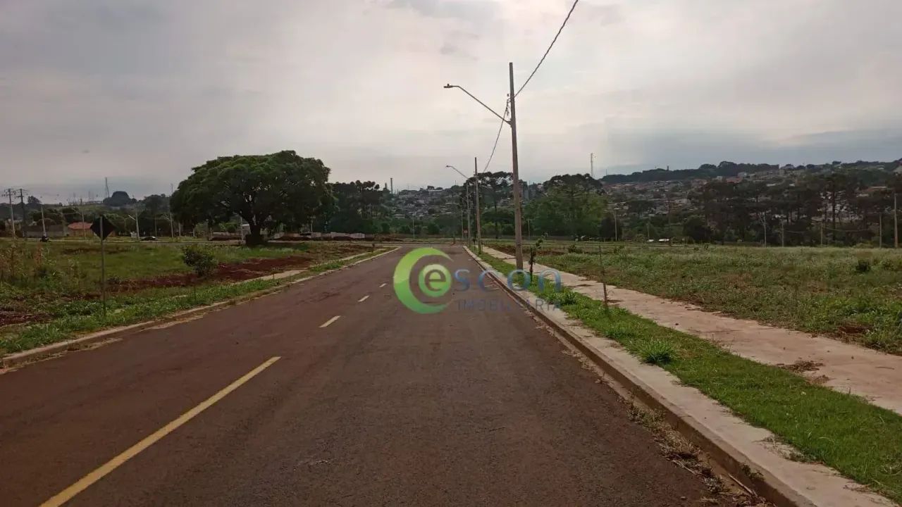 LOTEAMENTO RECANTO DOS PASSAROS - Foto 4