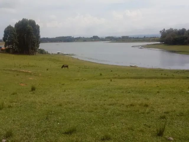 Chácara para lazer e pesca de 2300 mt A. total Carlópolis-Pr - Foto 5