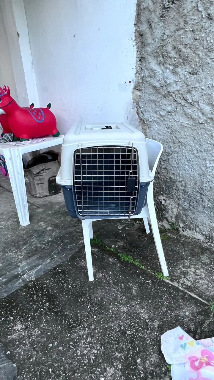 Casinha de cachorro  - Foto 2