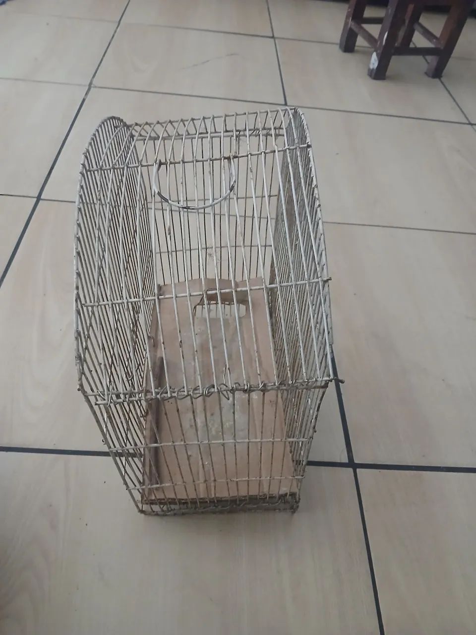 VENDO GAIOLA - Foto 2