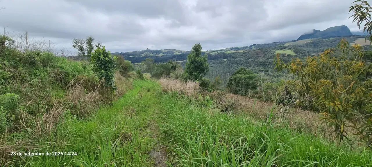 Sítio em Alfredo Wagner- Serra Catarinense-41.000 m² - Foto 2