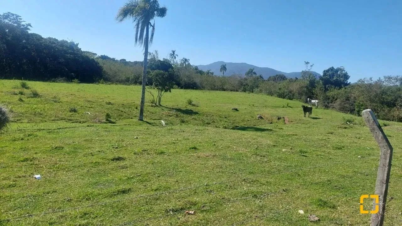 Terreno Comercial em Campeche - Foto 2