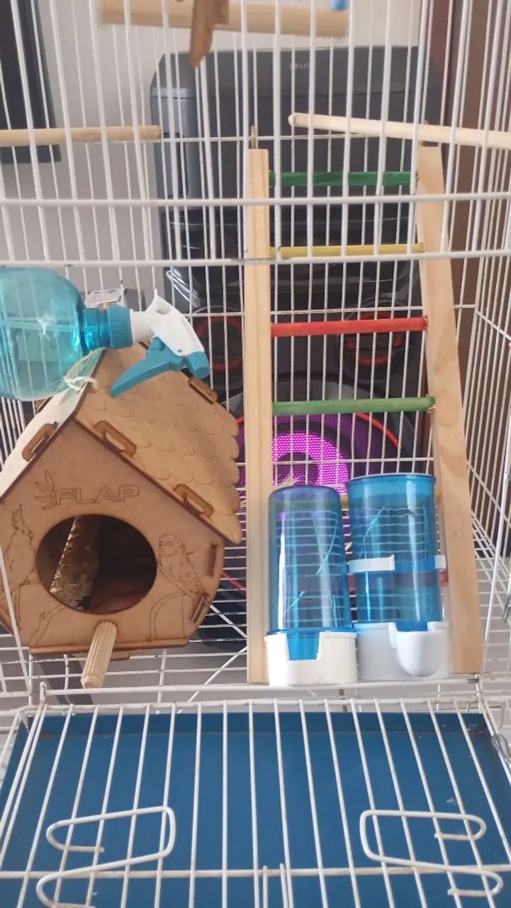 Viveiro de Pássaro 