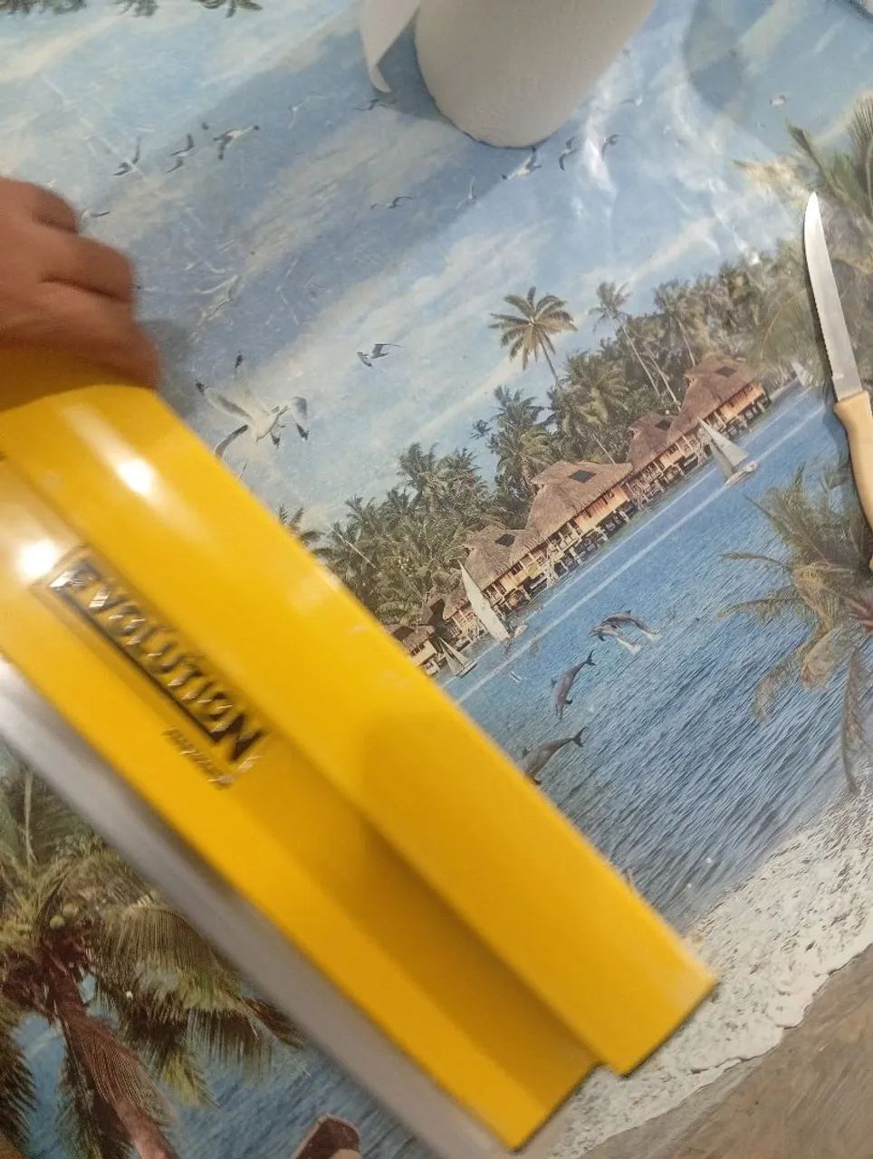 Desempenadeiras de 80 ,60 e 40 cm. - Foto 4