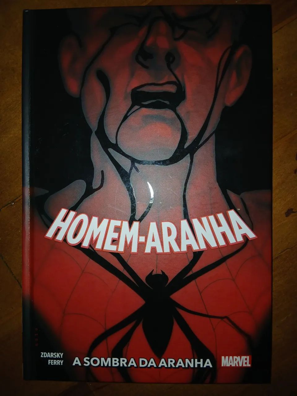 Homem-Aranha: A Sombra da Aranha