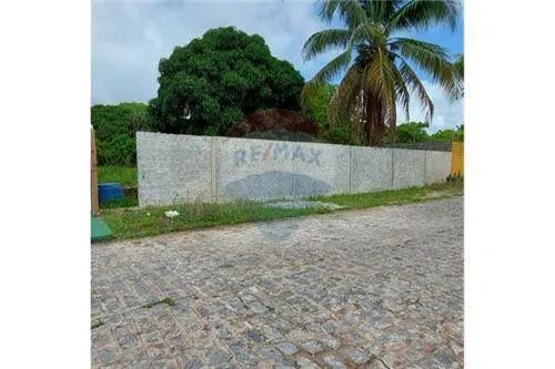 Excelente terreno (chacará) próximo a Massagueirinha - Foto 2