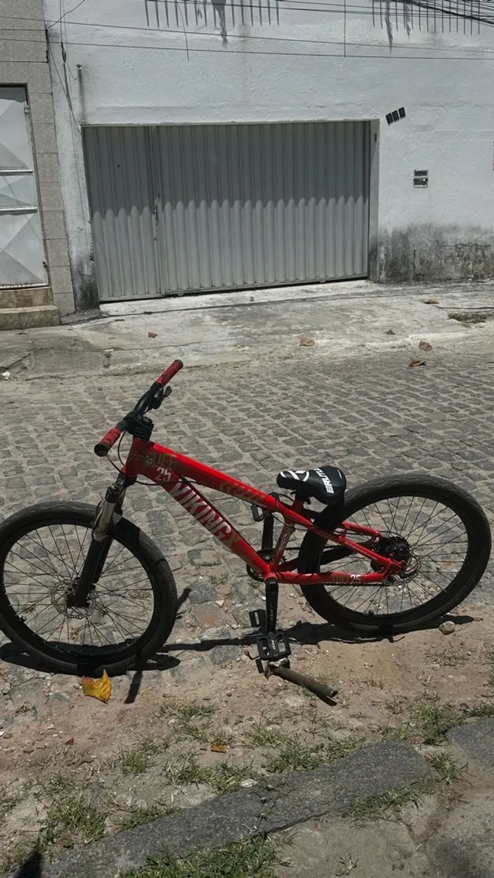 Viking no padrão  - Foto 2