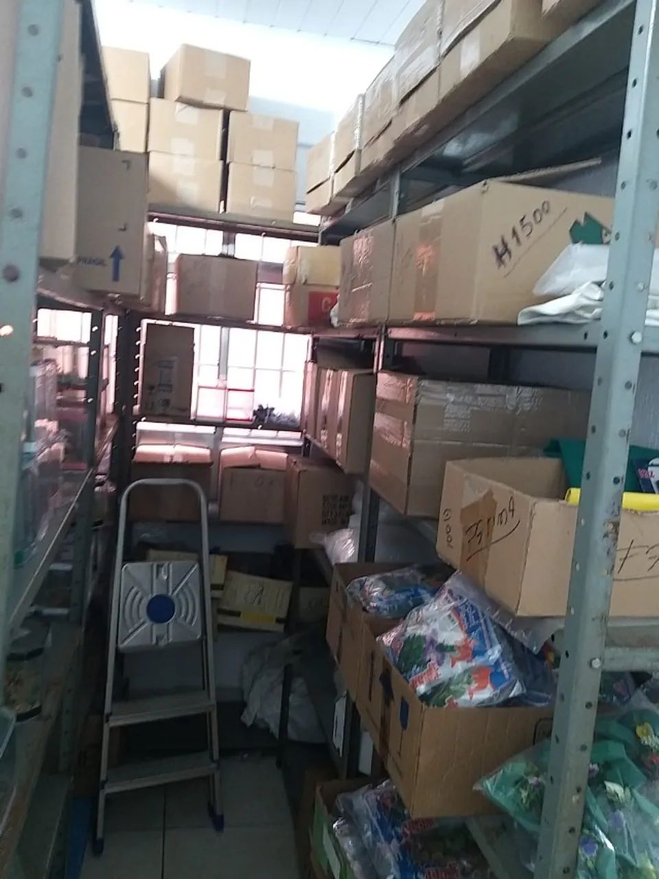 Distribuidora de Acessorios e Peixes Ornamentais, Nacionais e Importados - Foto 4