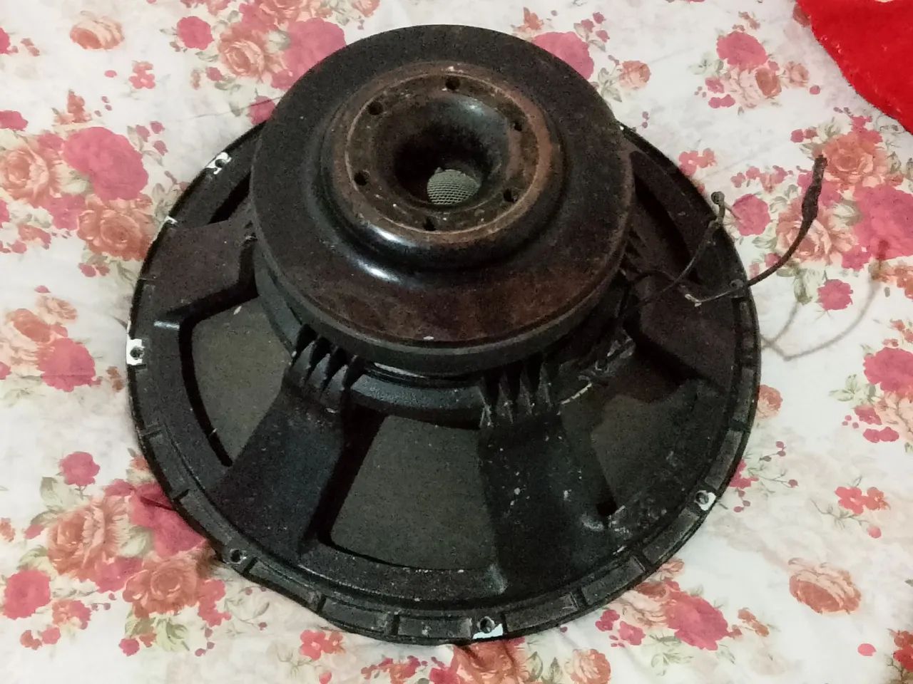 Fone de 18 para vender 