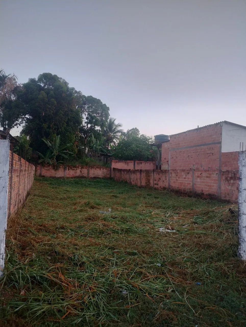 Terreno 