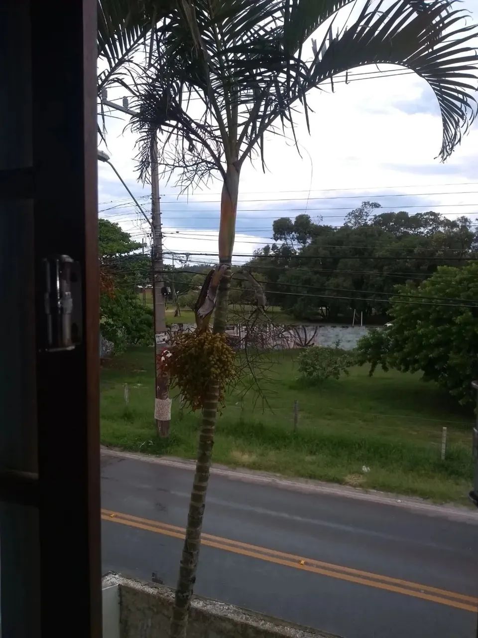 04 APTOS NO CAMPECHE - FLORIANOPOLIS - Foto 2