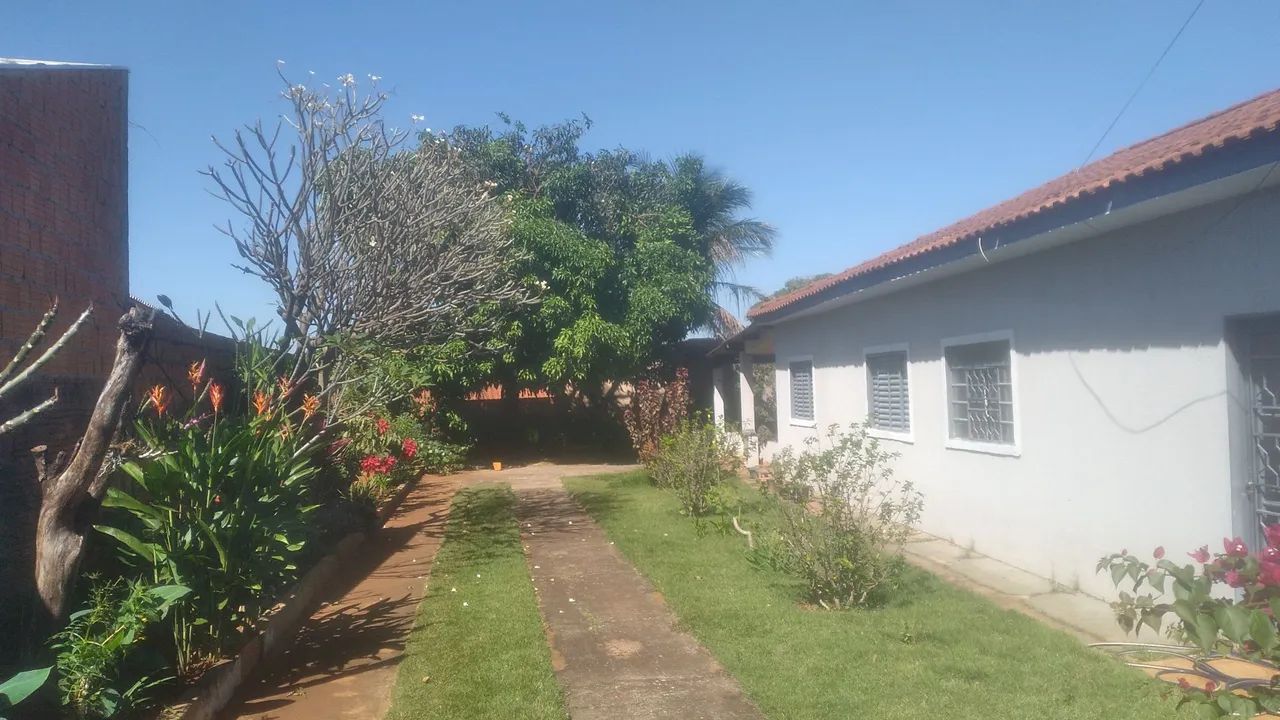 Jardinagem  WhatsApp *