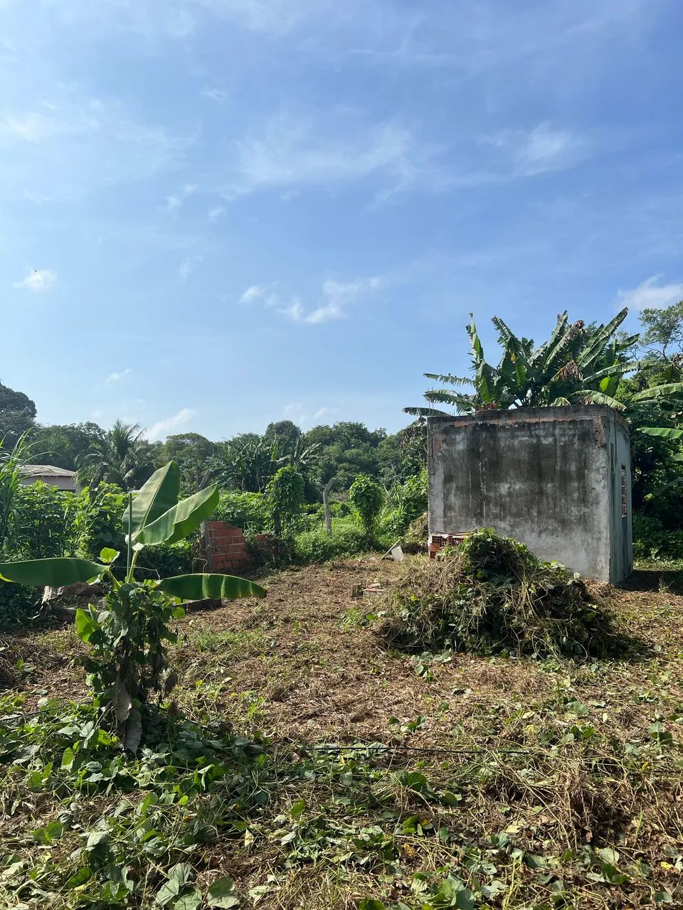 TERRENO NO CURUÇAMBA - Foto 4