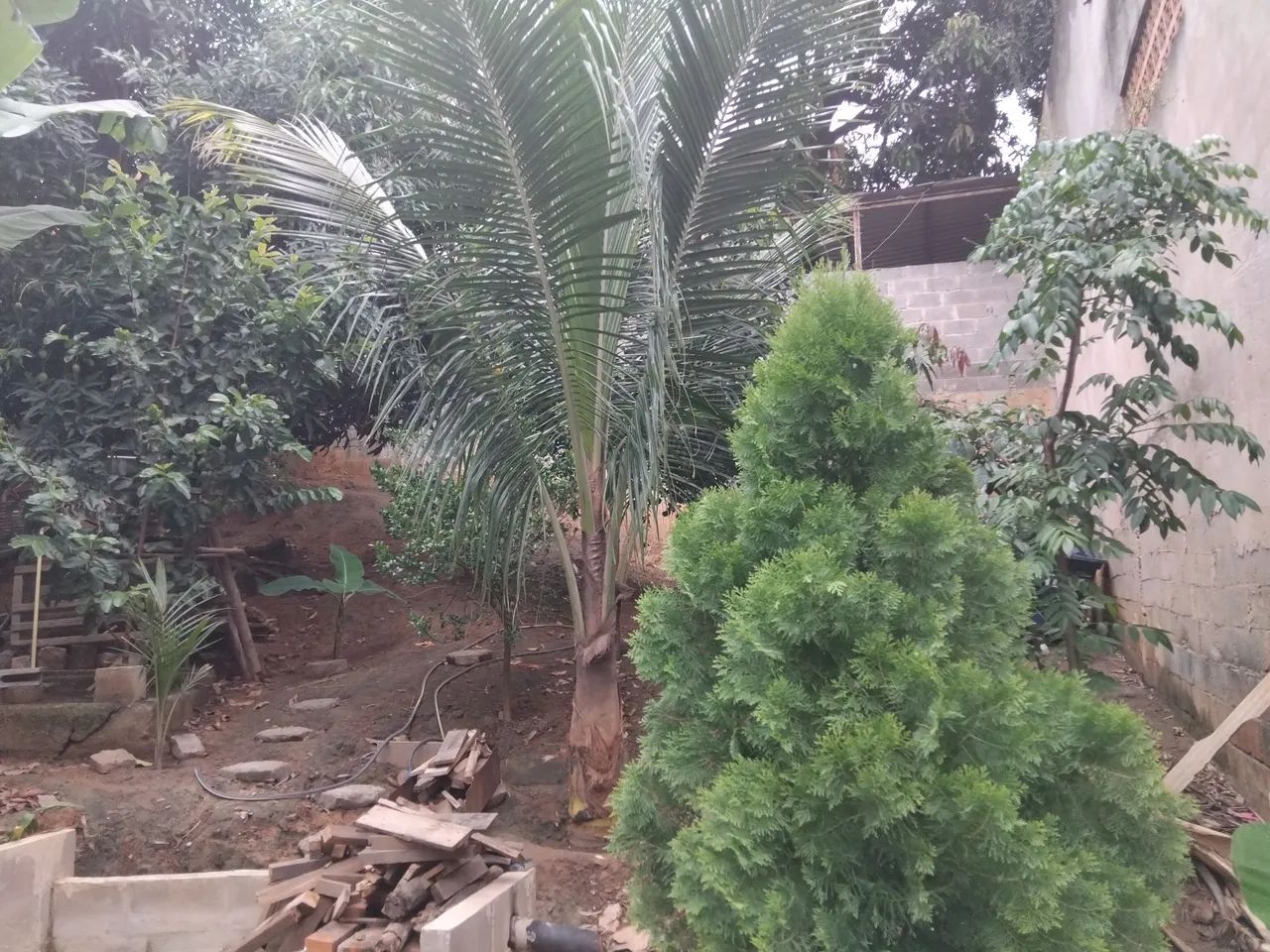 Meio lote - Foto 3