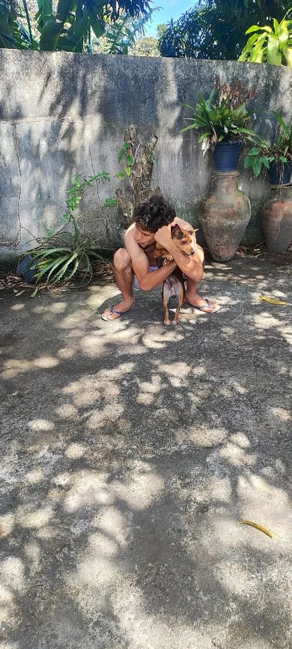 Cachorro  - Foto 2