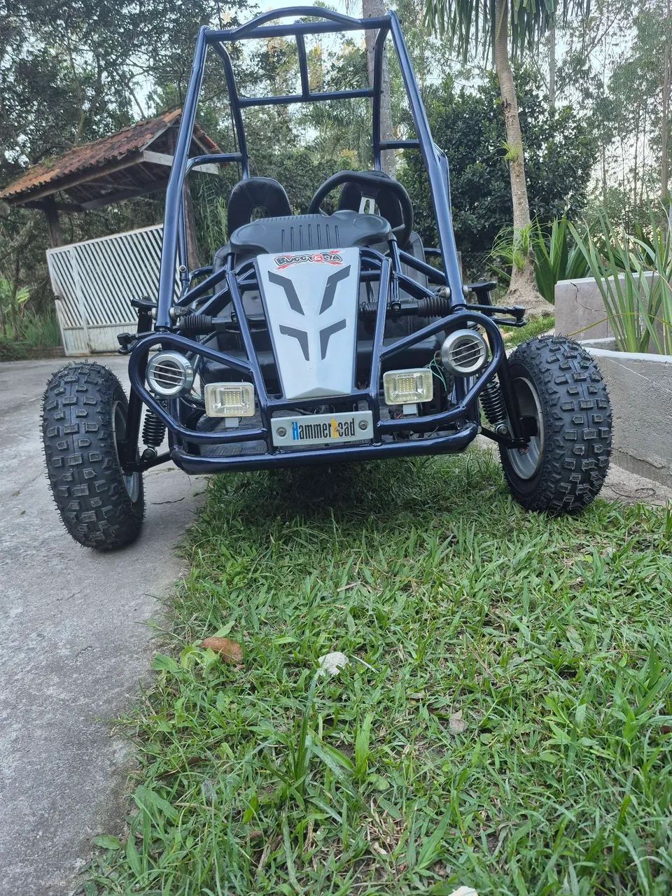Buggy Hammerhead  - Foto 4