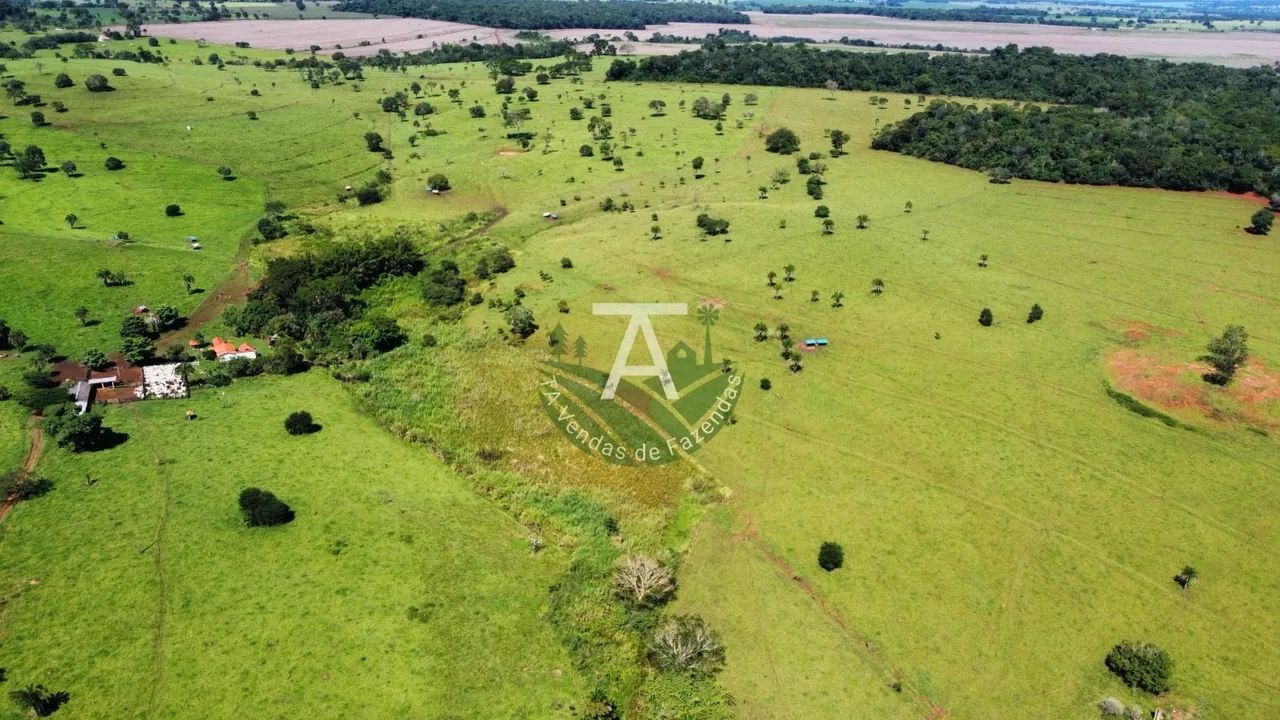 Fazenda em Trindade - GO - Foto 2