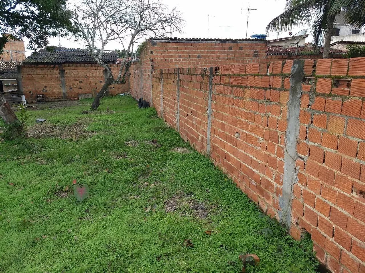 Vendo terreno - Foto 4