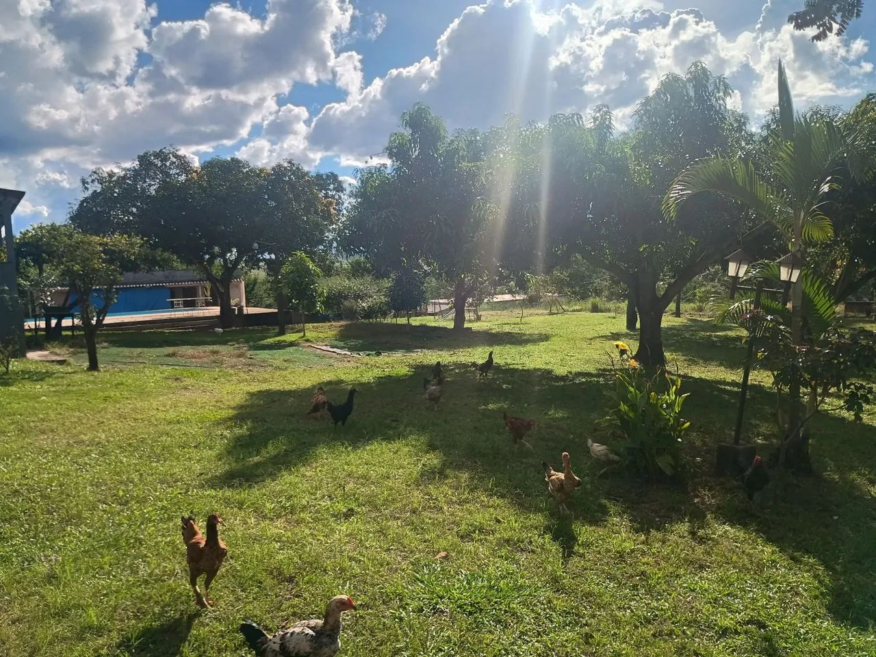 Chácara em águas lindas com 48.750 mts - Foto 3