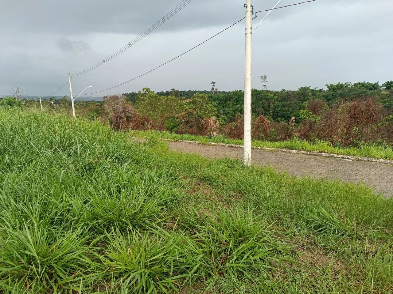 Terreno Flora Park 2 - Foto 5