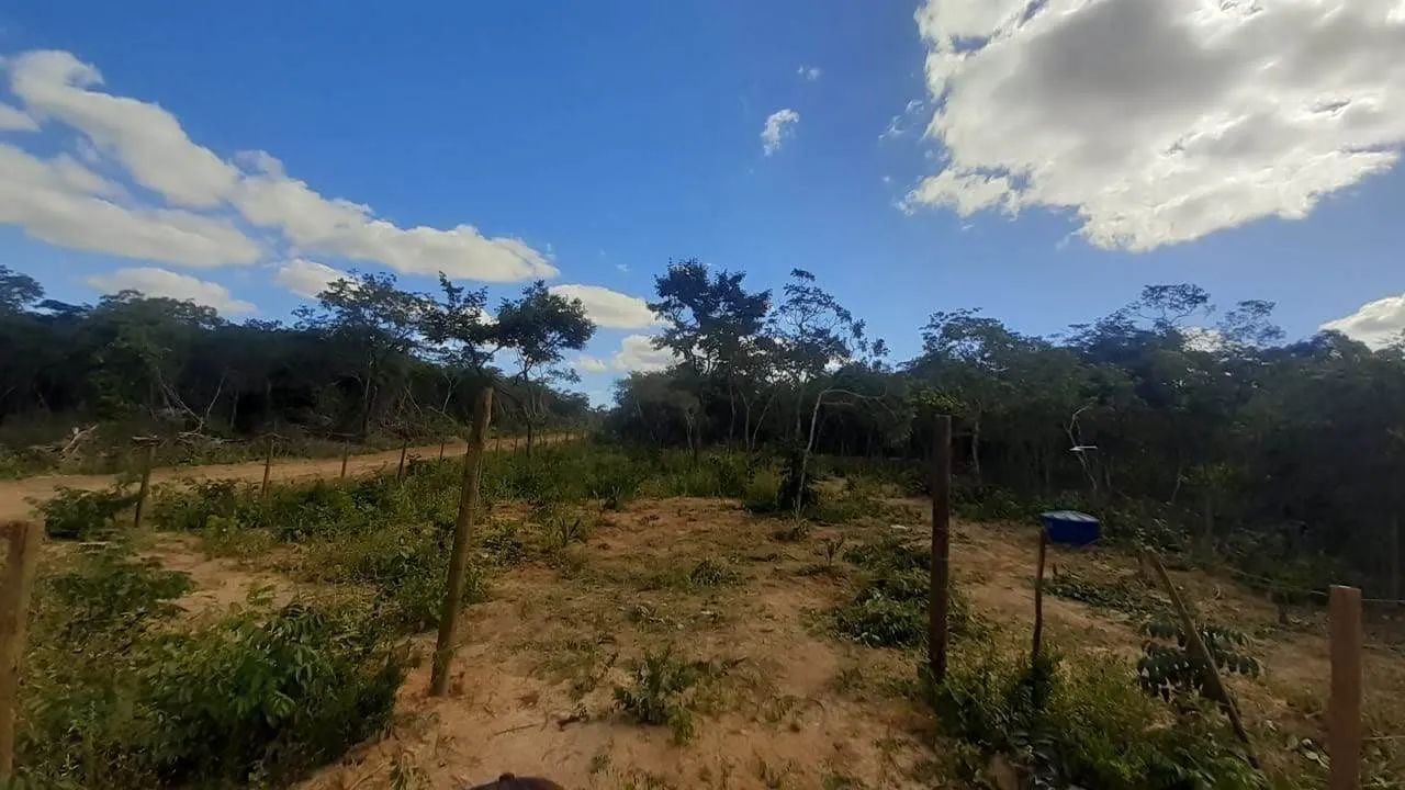 Foto - Montes Claros - Eldorado