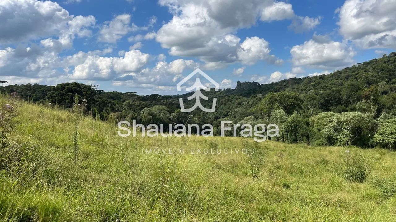 SITIO RURAL em RANCHO QUEIMADO - SC, INVERNADINHA - Foto 5