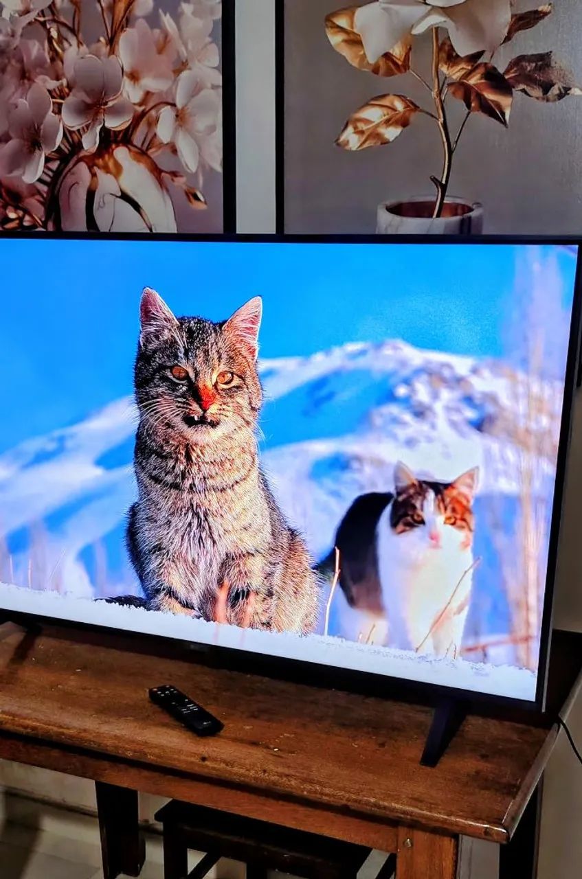 Tv semi nova LG 50 polegadas  - Foto 5