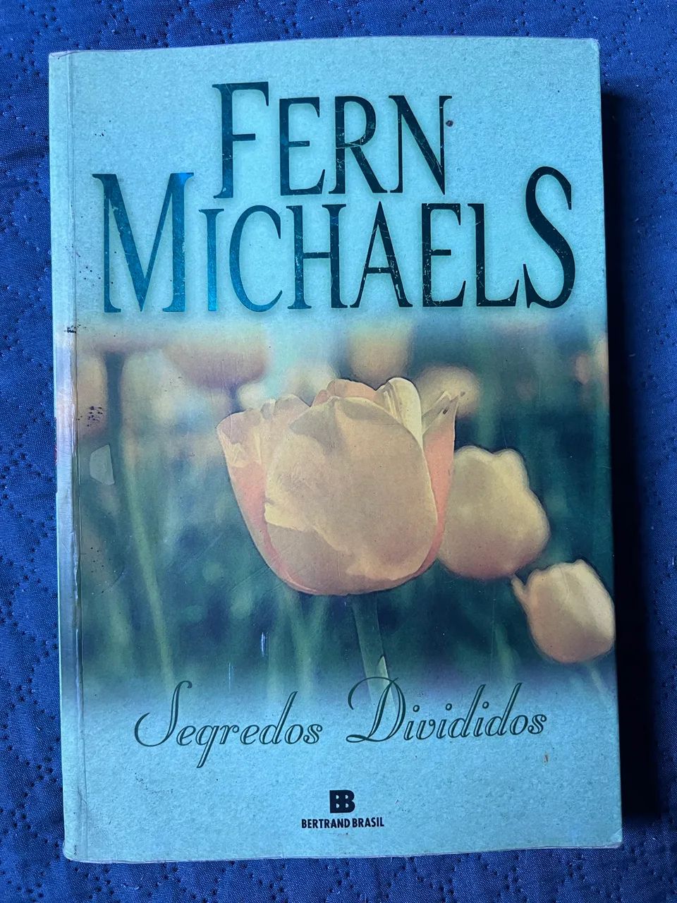 Livro Segredos Divididos