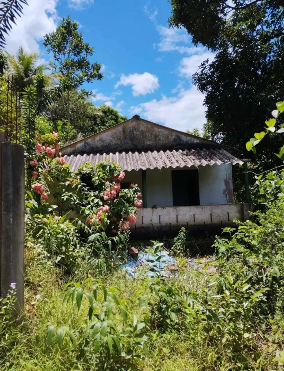 TERRENO COM CASA 