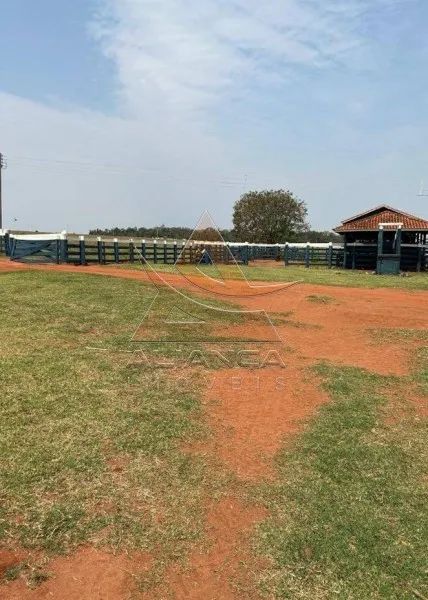 Fazenda - Marília - Zona Rural - Foto 2