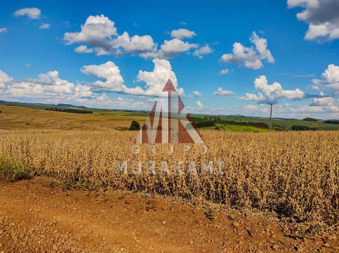 FAZENDA - BOM SUCESSO - PARANÁ - Foto 3