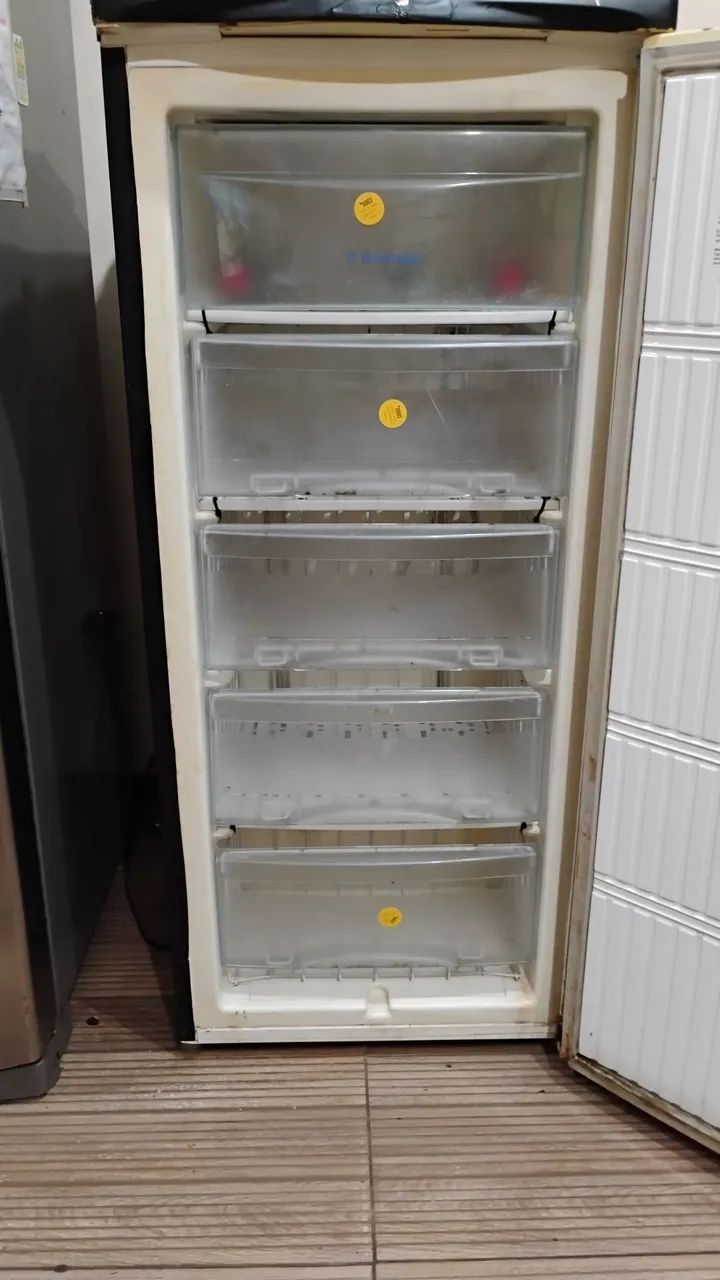Freezer vertical 
