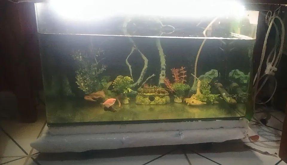 Aquário 60 litros  - Foto 4