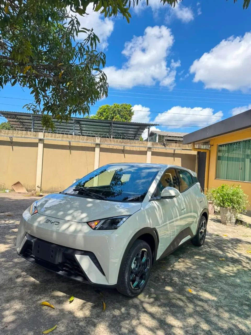 BYD Dolphin EV (Elétrico) 2027 - Foto 2